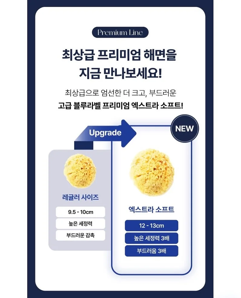 젤리백 5