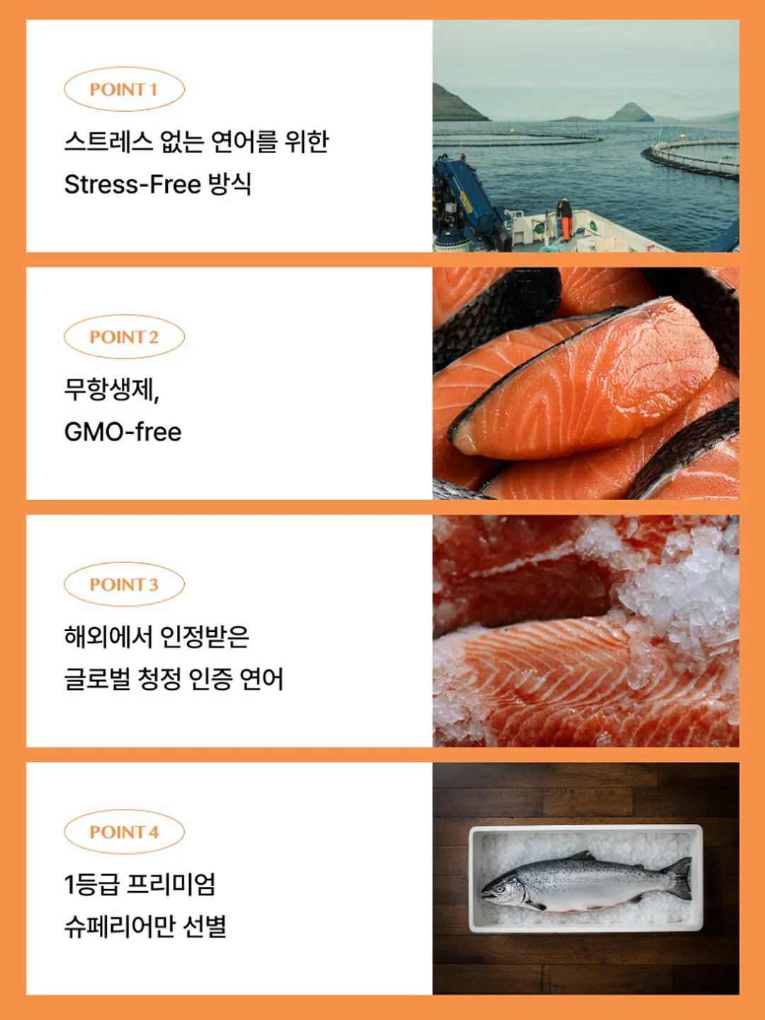 오션비치 티셔츠 5