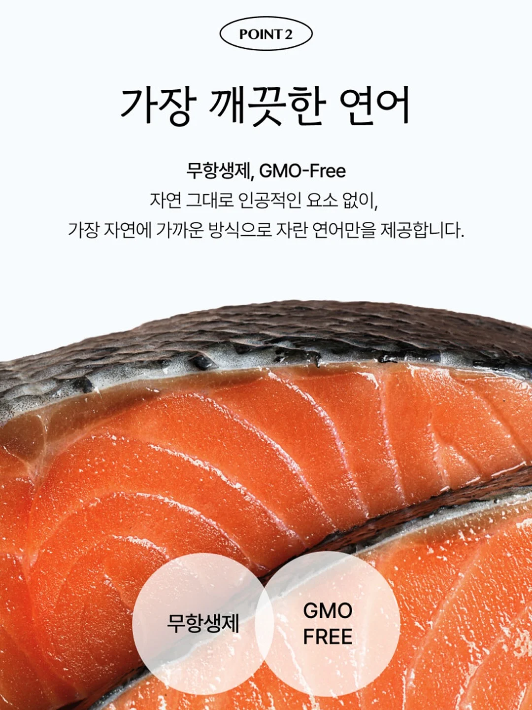 오션비치 티셔츠 7