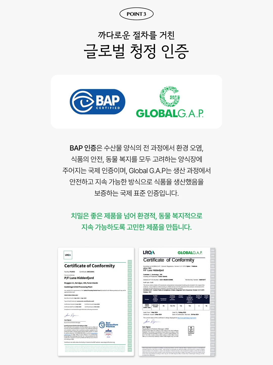 오션비치 티셔츠 8