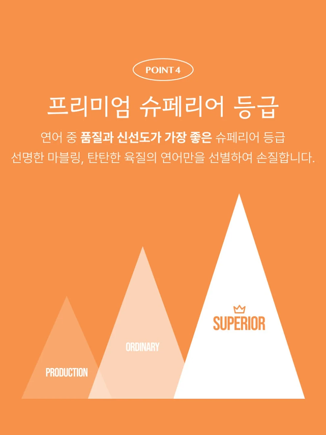 오션비치 티셔츠 9