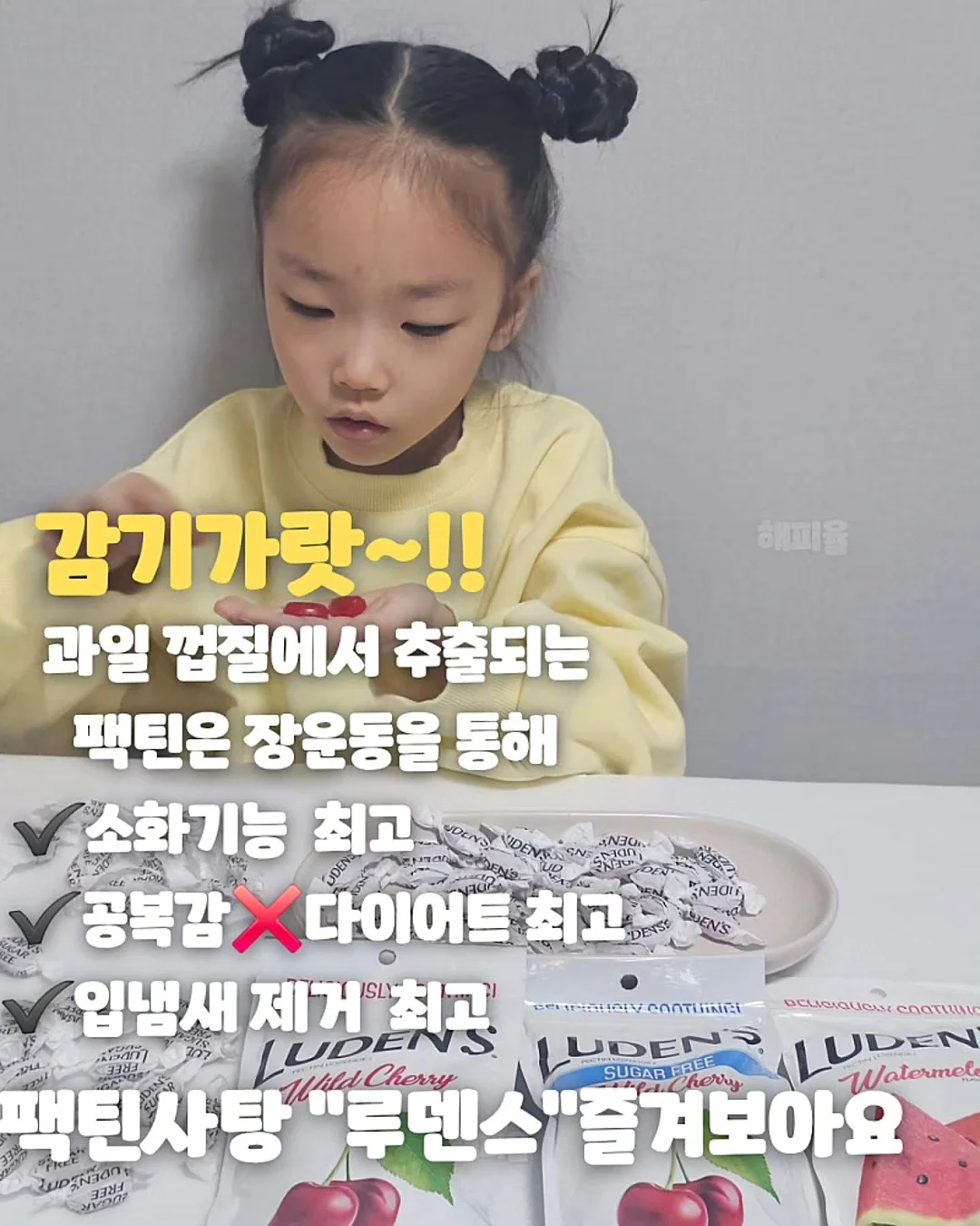 바람막이 3