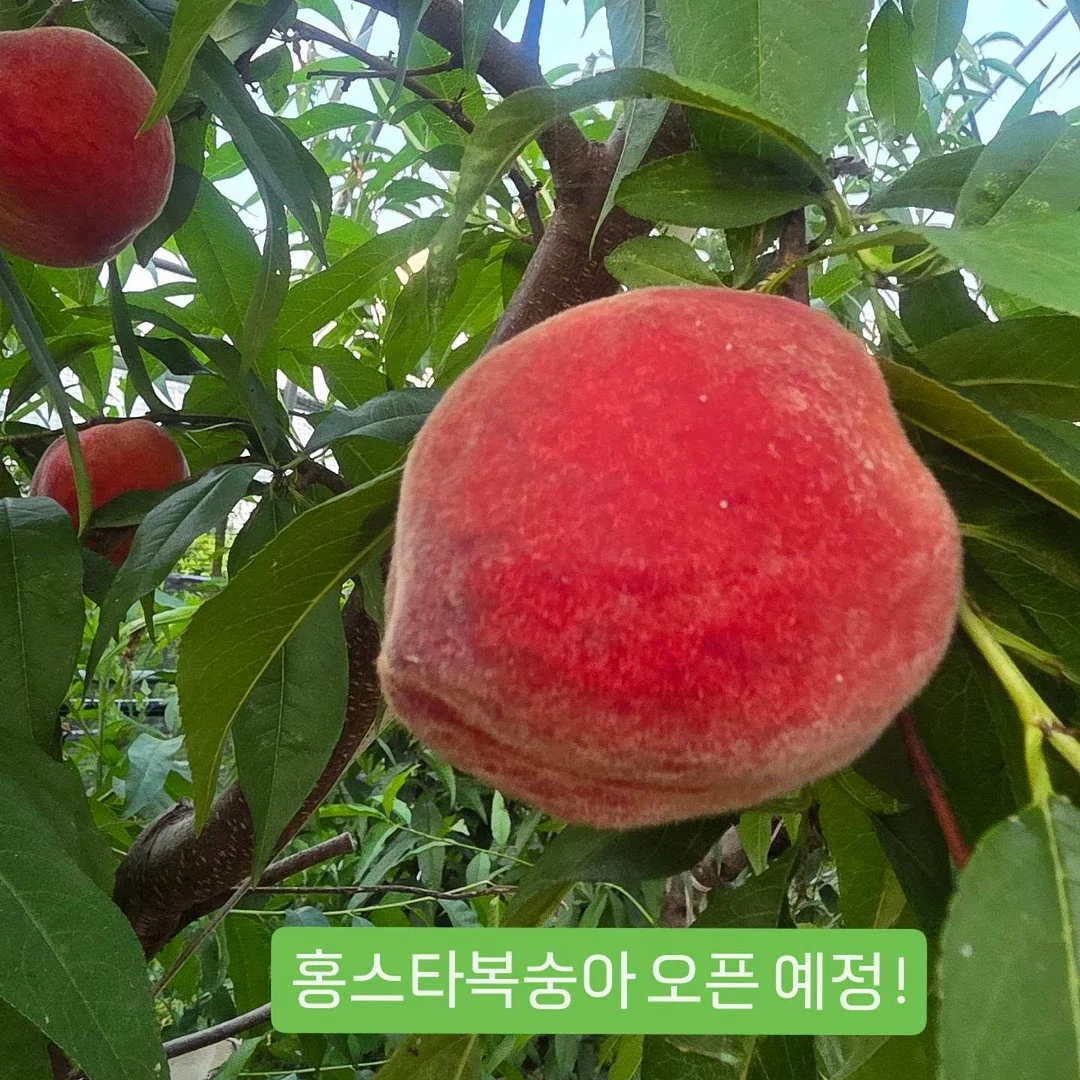 접이식 미니 스타일러 다리미