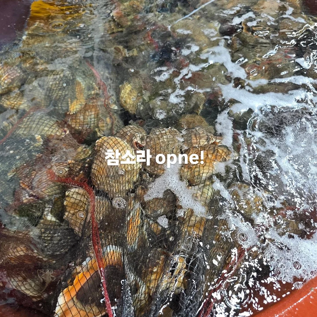 봄동장아찌 & 깻잎장아찌 1