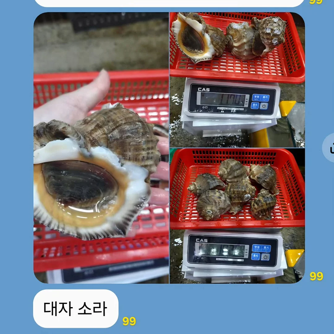 봄동장아찌 & 깻잎장아찌 2