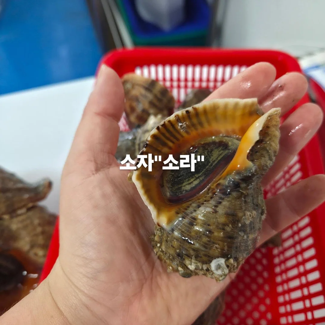 봄동장아찌 & 깻잎장아찌 5
