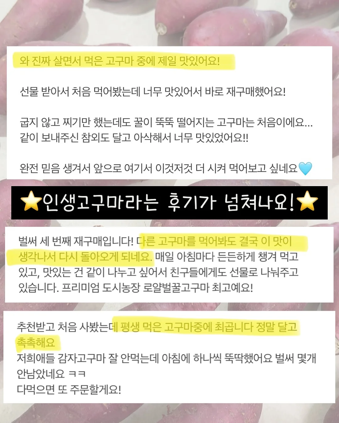 두피 문신 4