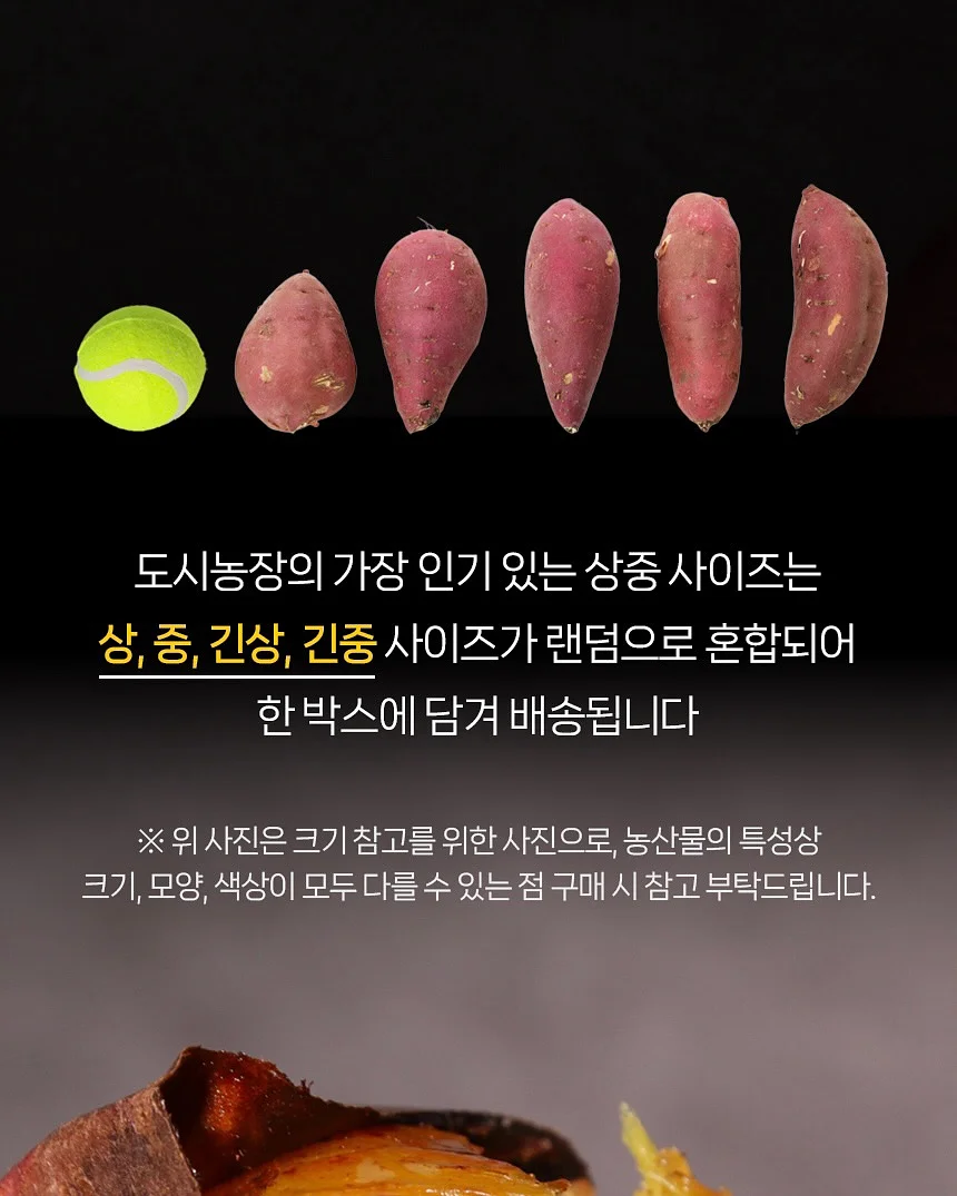두피 문신 10