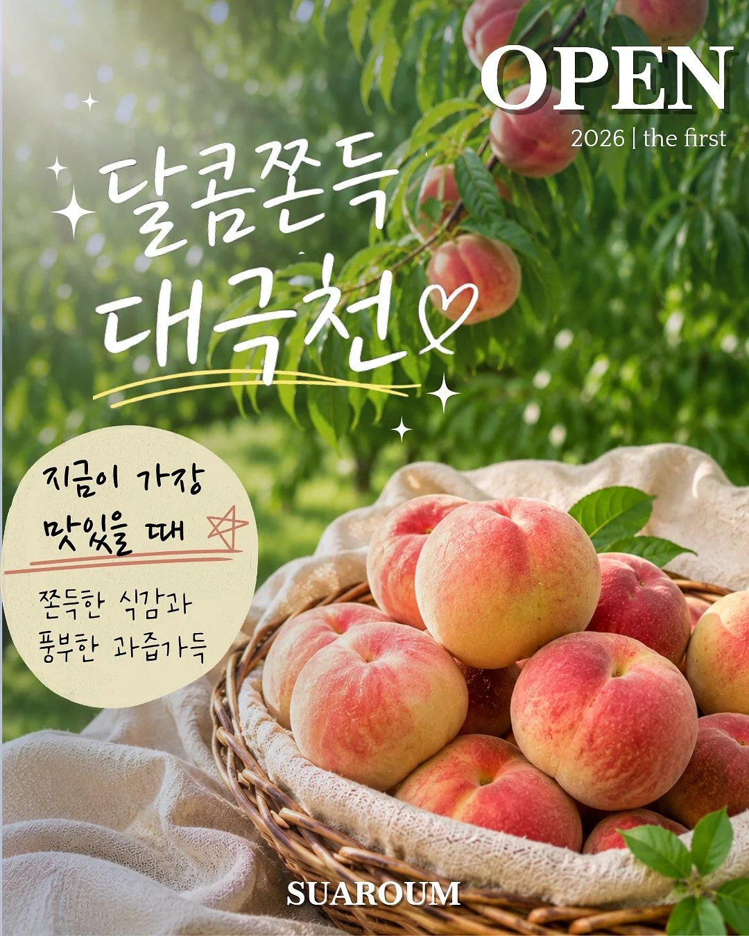 빈티지 의류