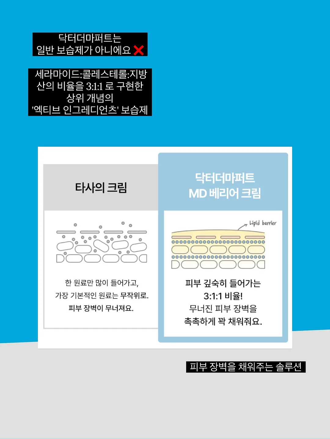 새둥지 양배추전 레시피 12