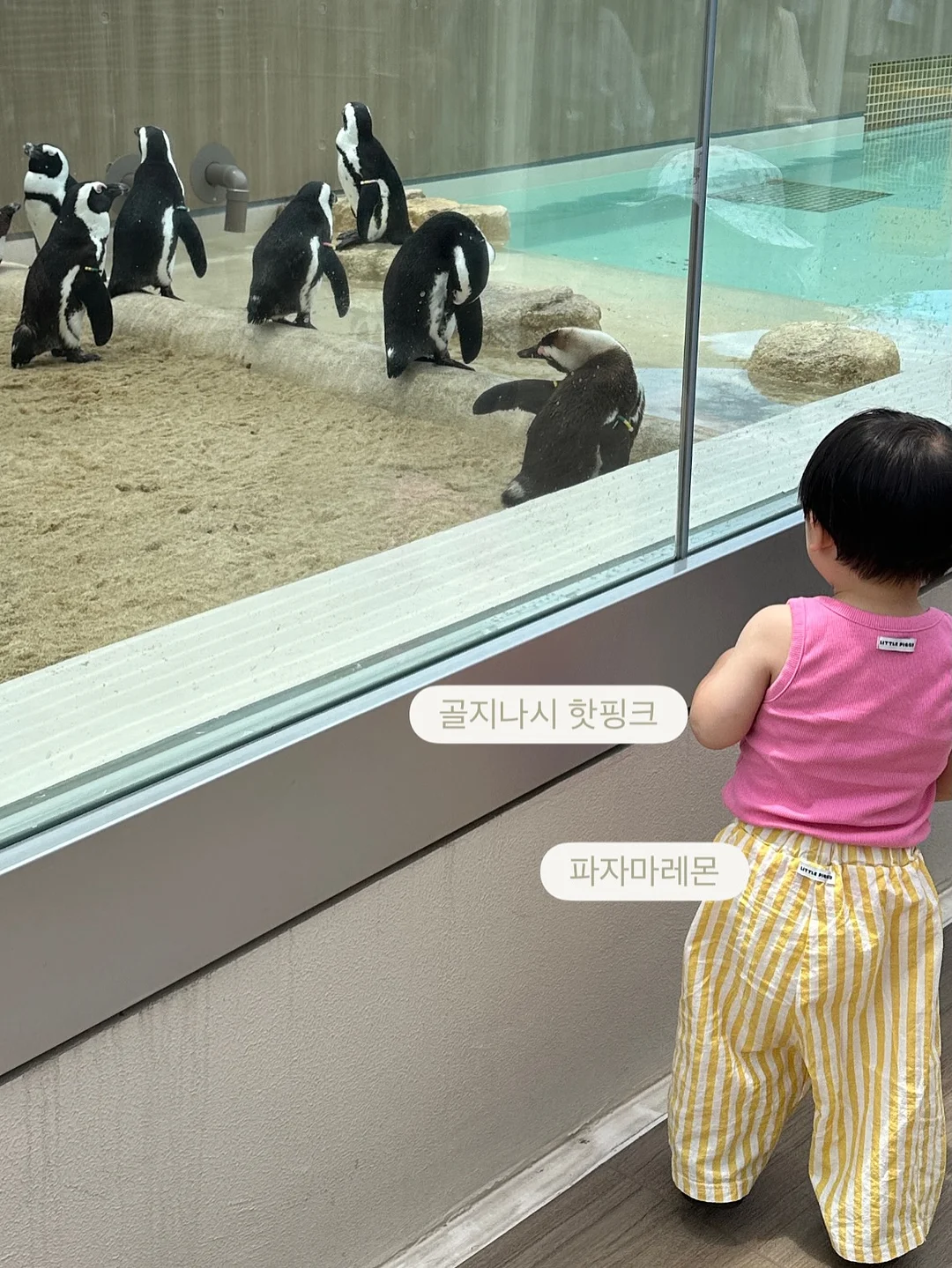 난분분 오버핏 후드 체크 셔츠 19
