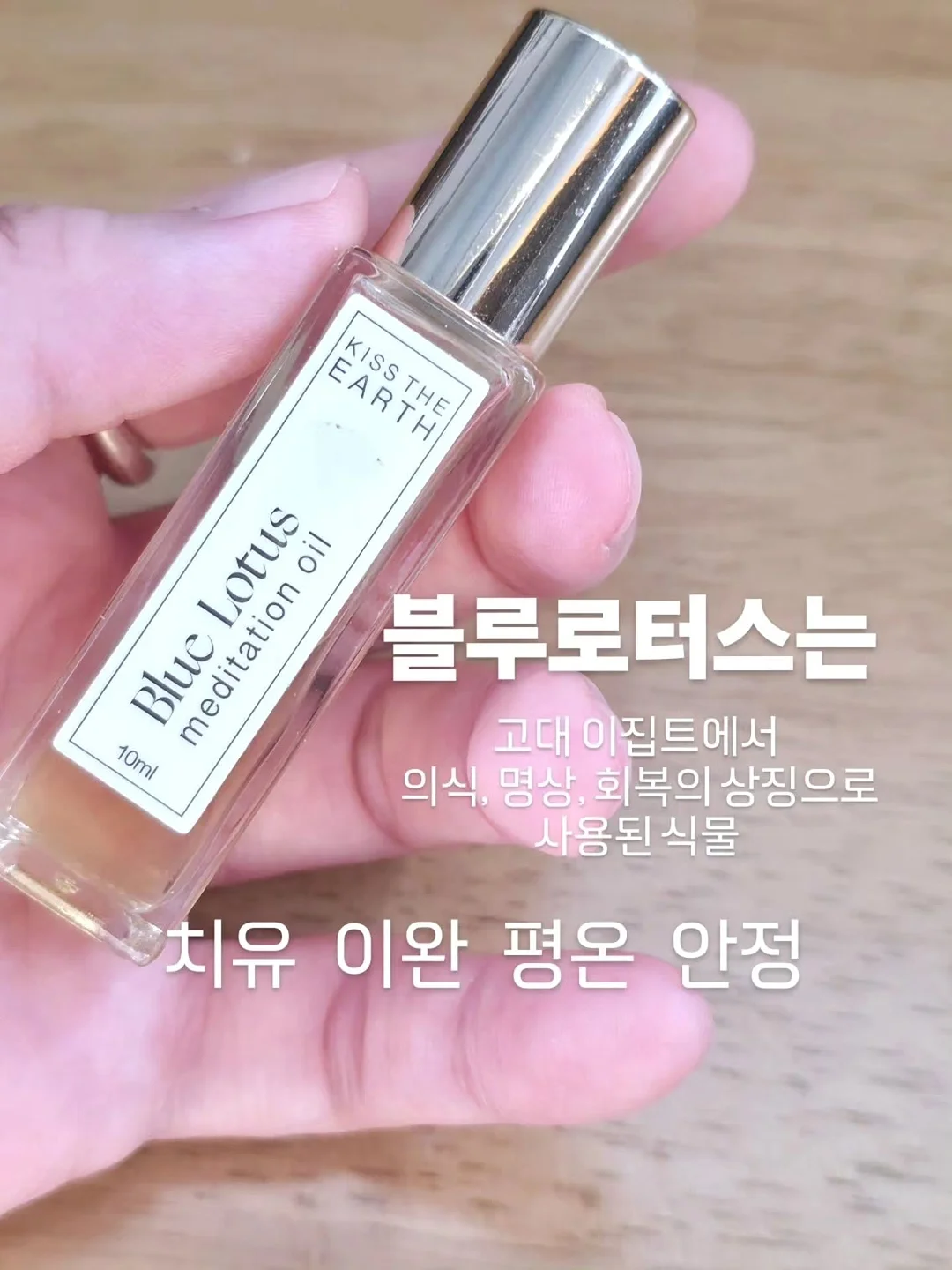 트래블비 천연꿀 선물세트 6