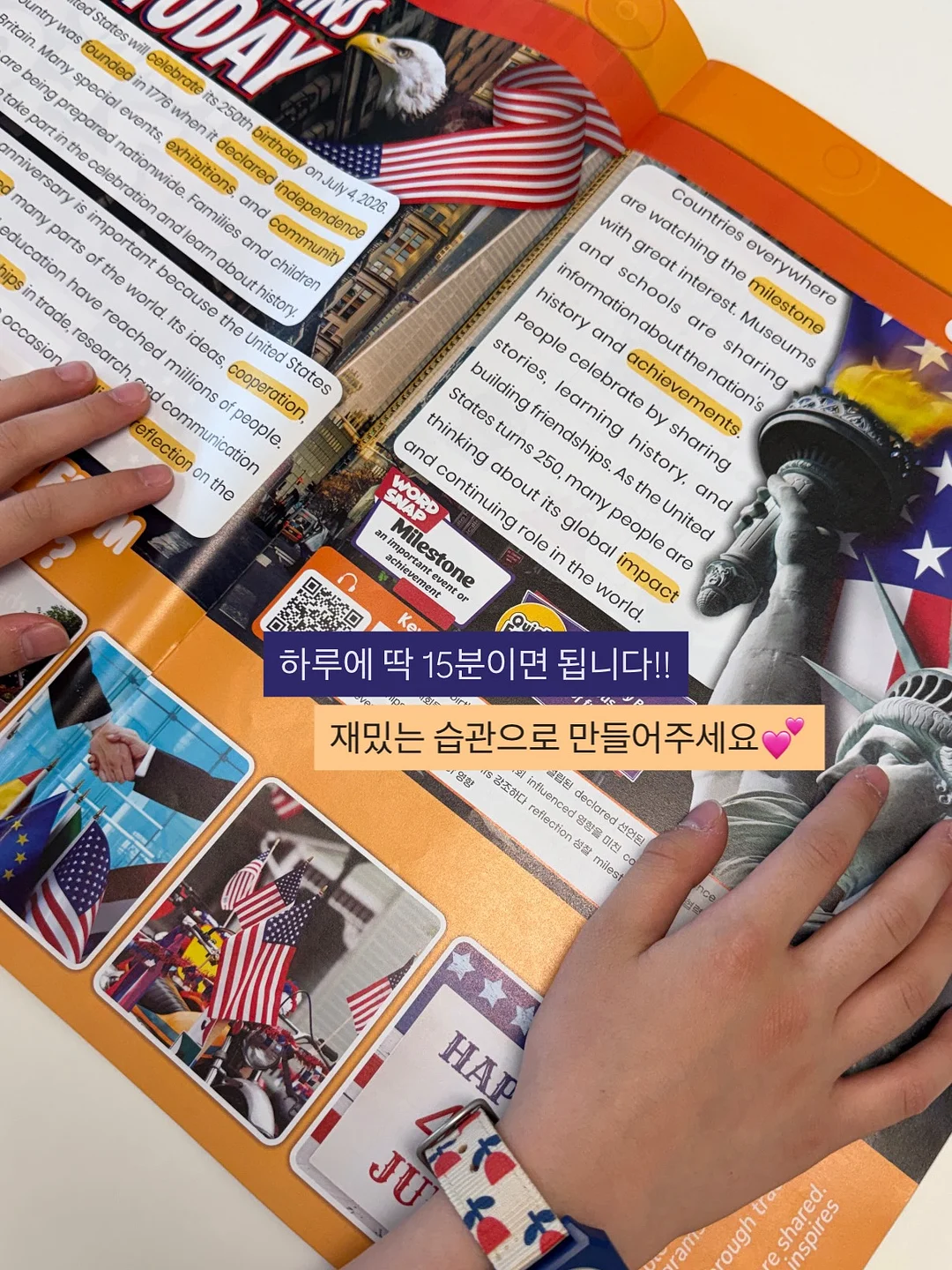 331번 제품 2