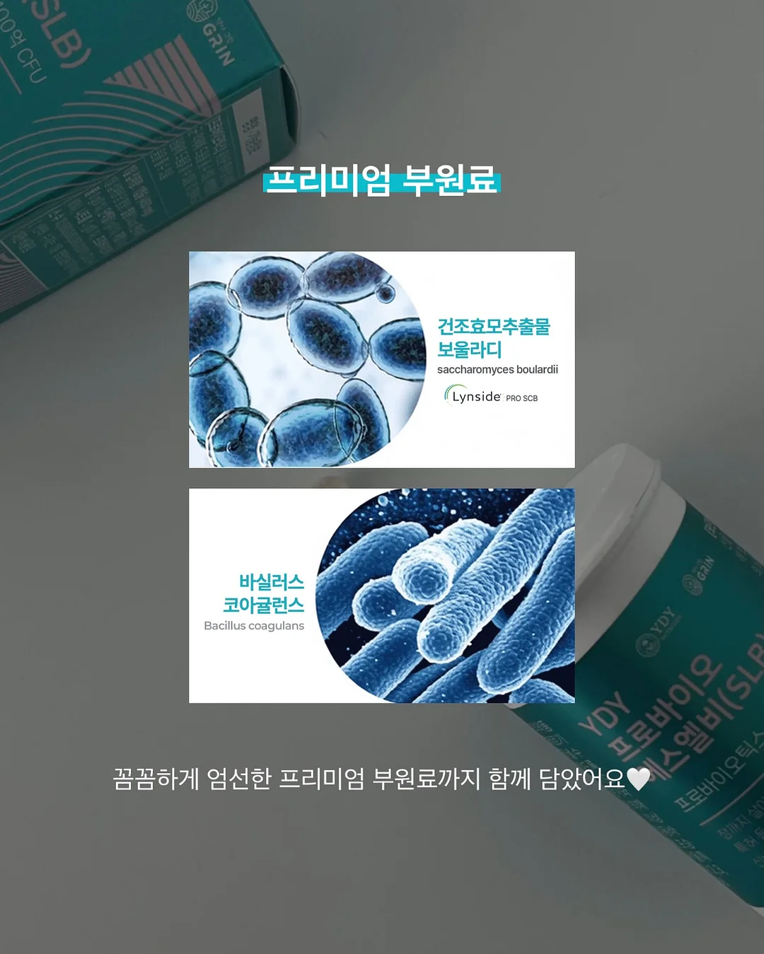 쫄면 10인분 세트 8