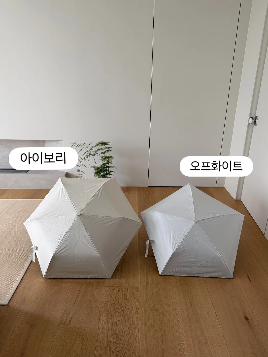 어린이날 선물 10