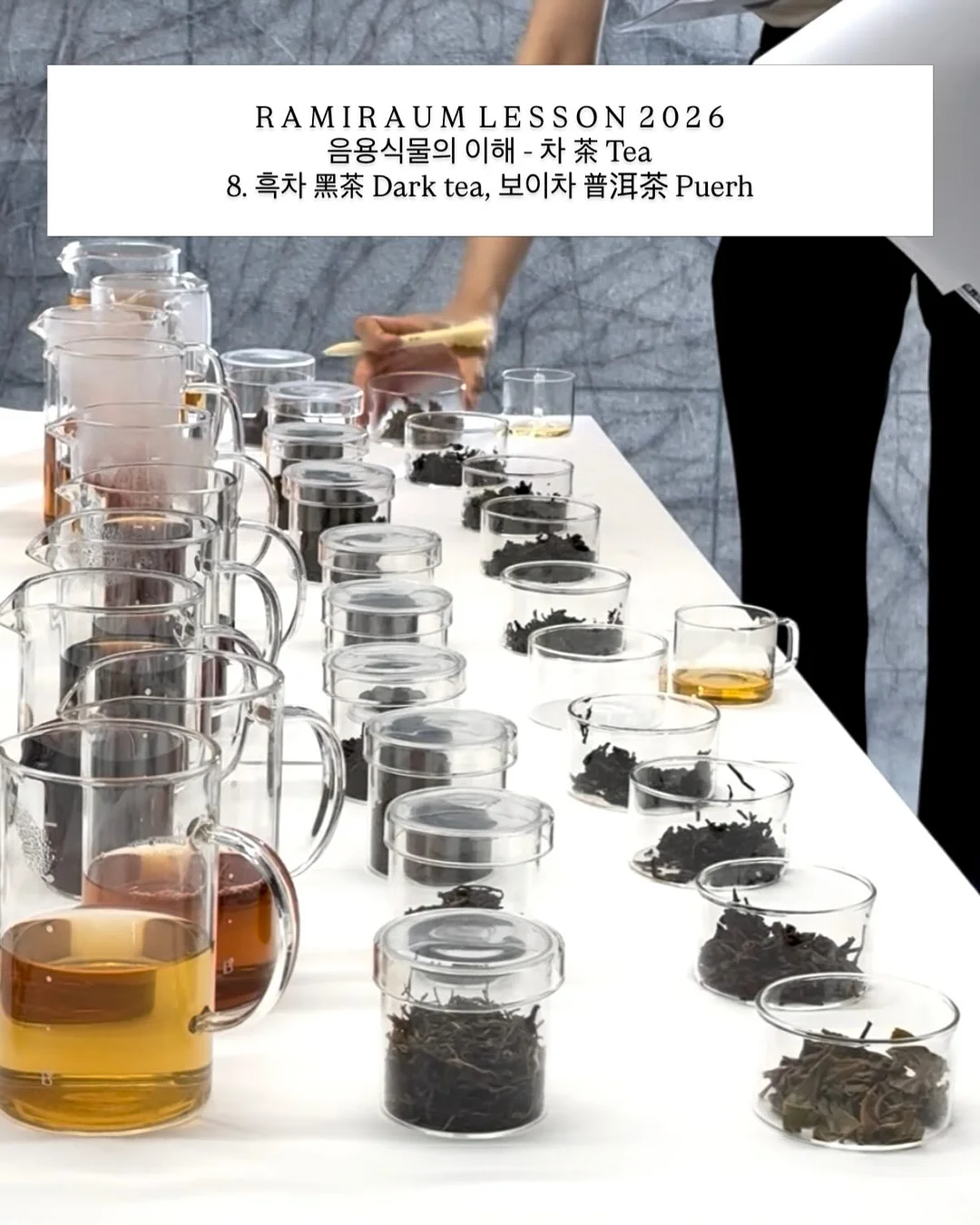 마이쮸 토마토맛 3