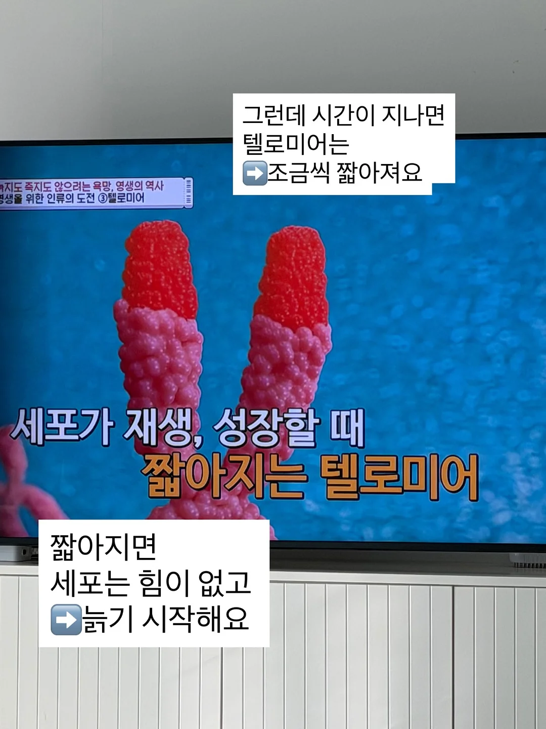 리리스 자체 제작 쇼츠 7