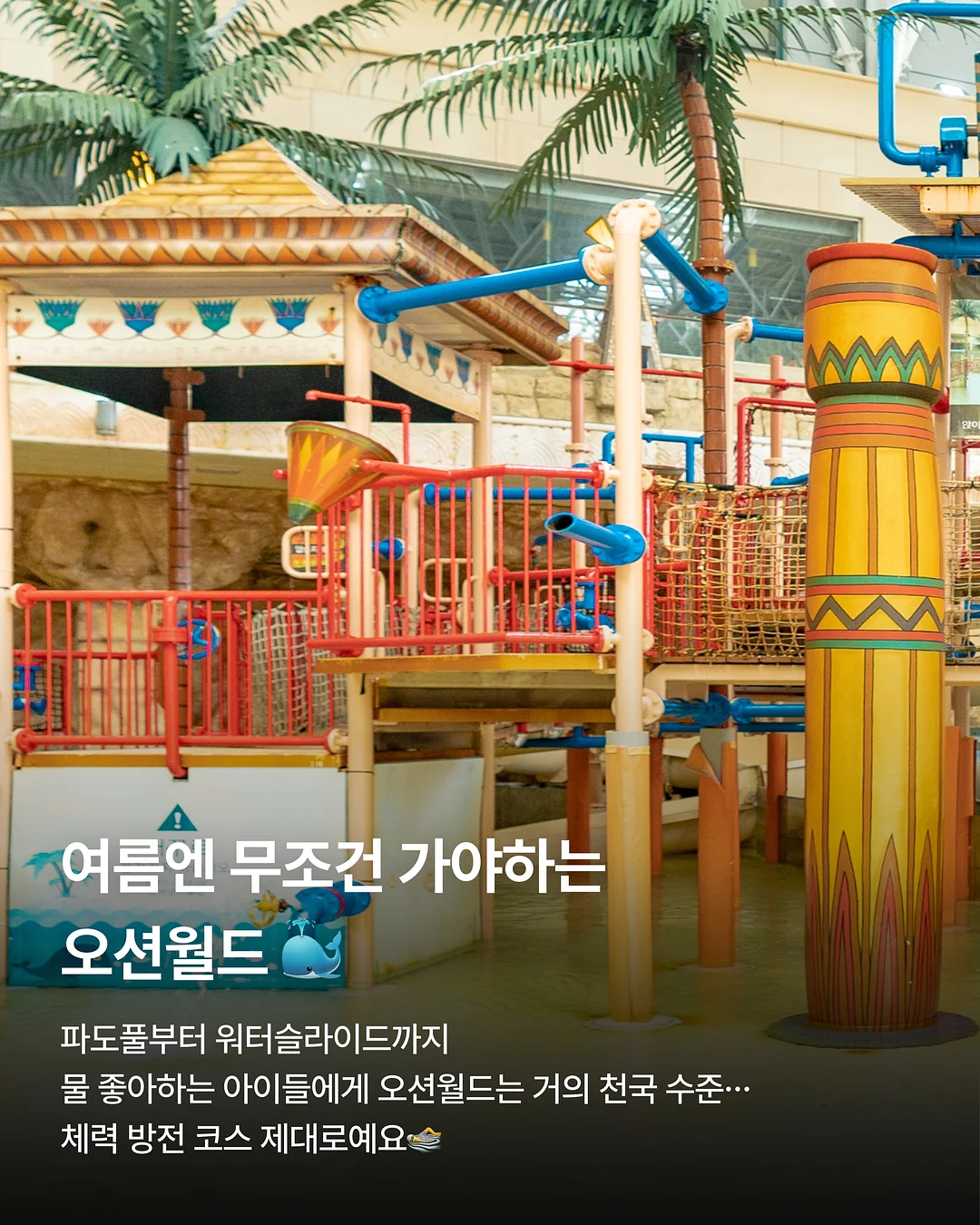 샤워 헤어캡 2