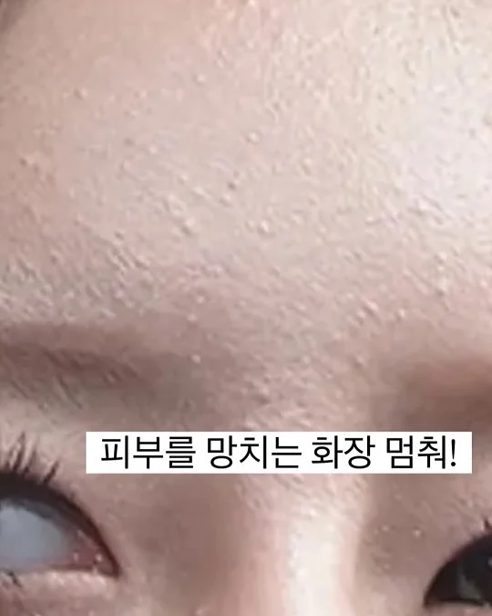 세그니모시 전시 5