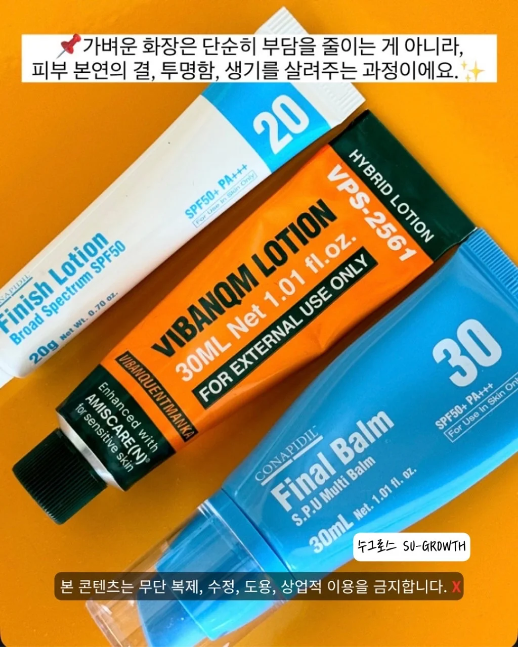 세그니모시 전시 8