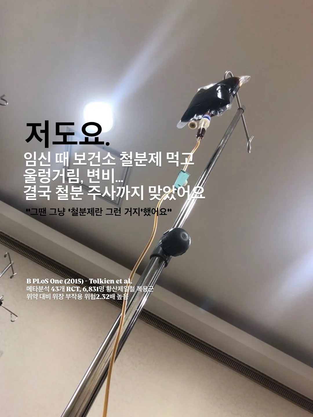 테리 세안빕 아이보리 2