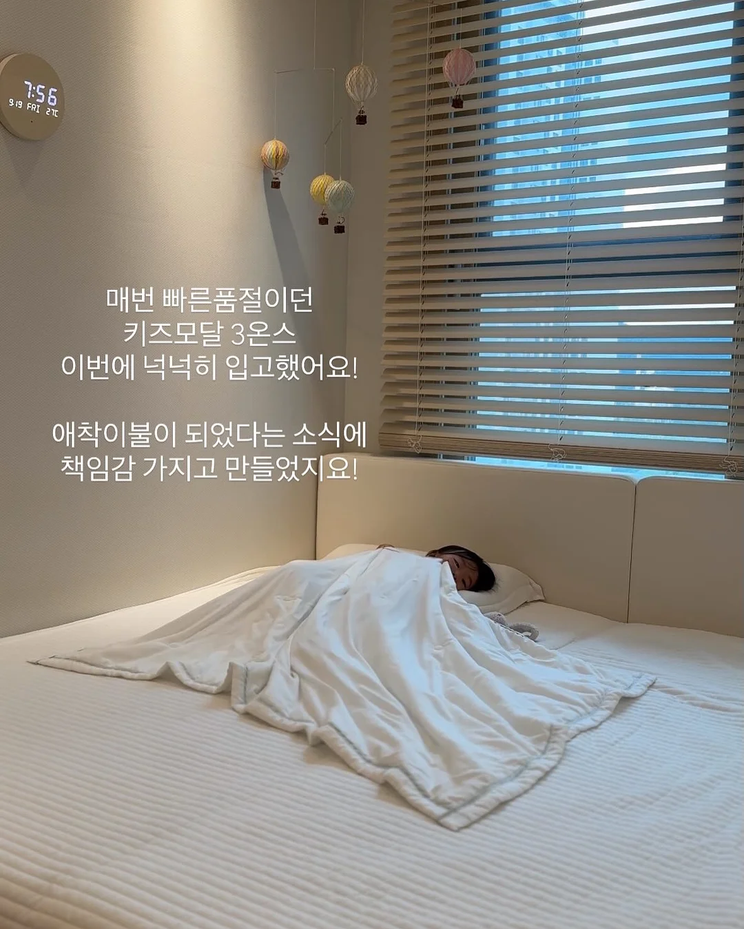 JAJU 반려견 용품 7