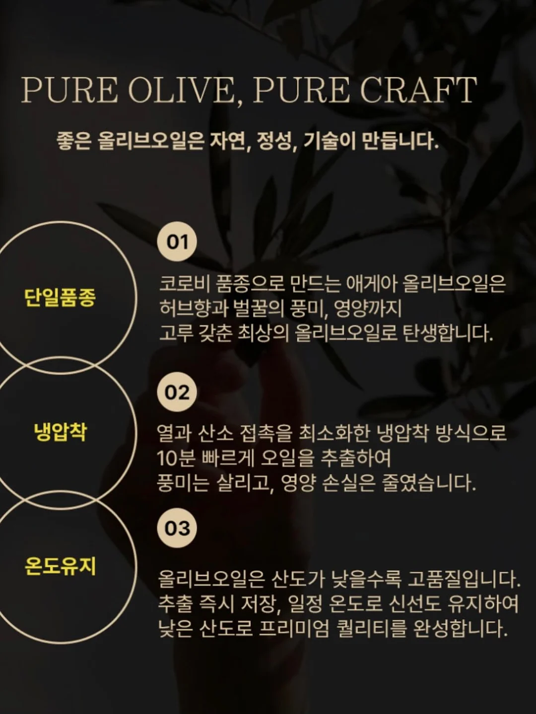 고퀄리티 상품 7