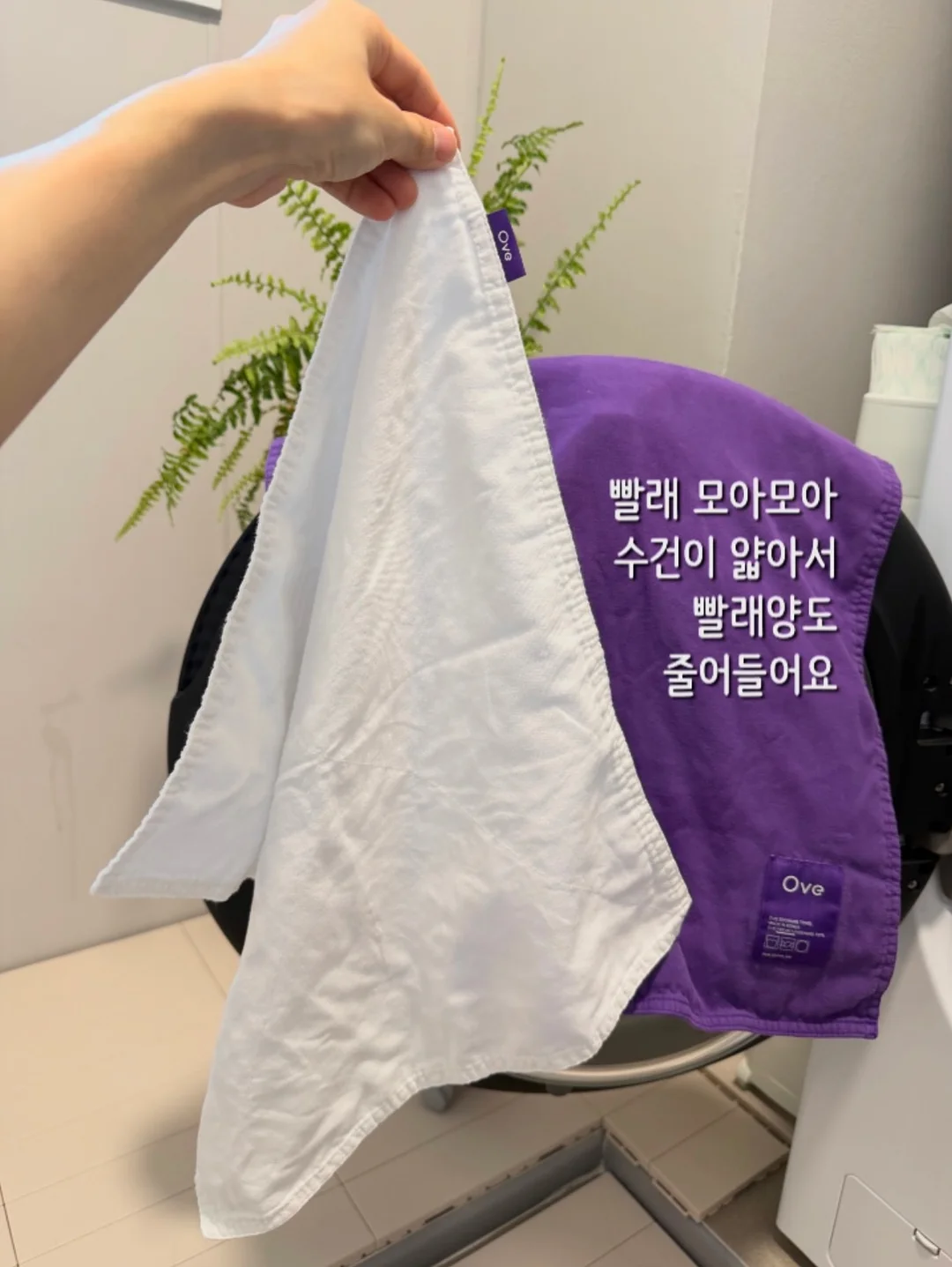 프랑지파니 & 가이악 캡슐세제 13