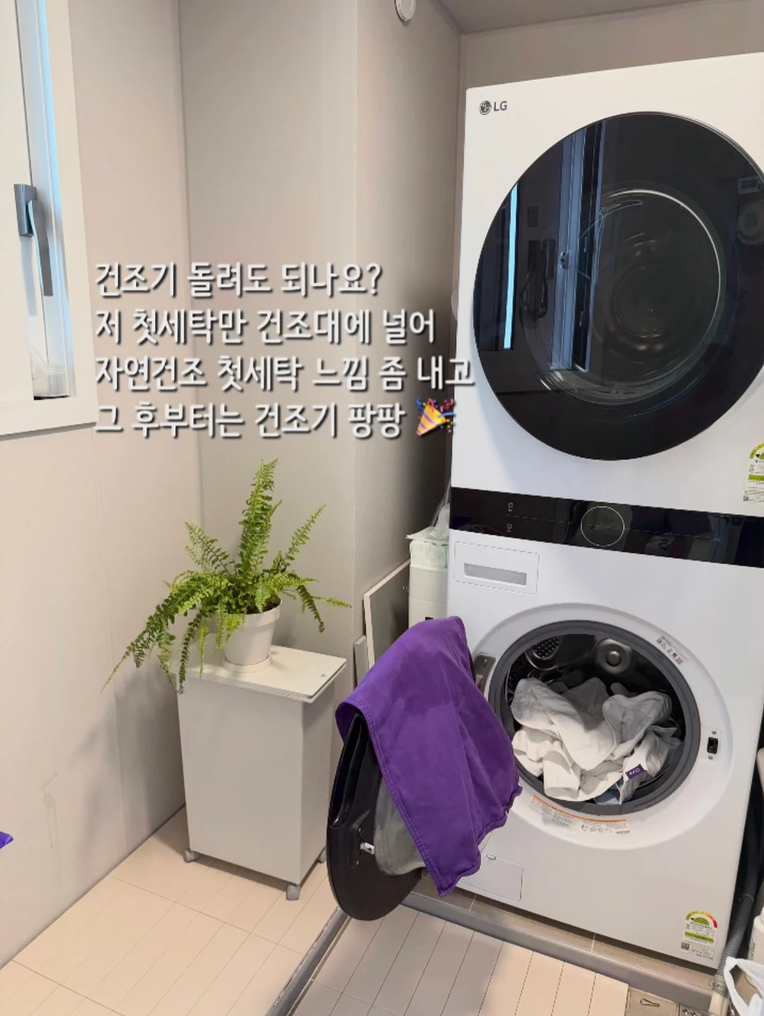프랑지파니 & 가이악 캡슐세제 17