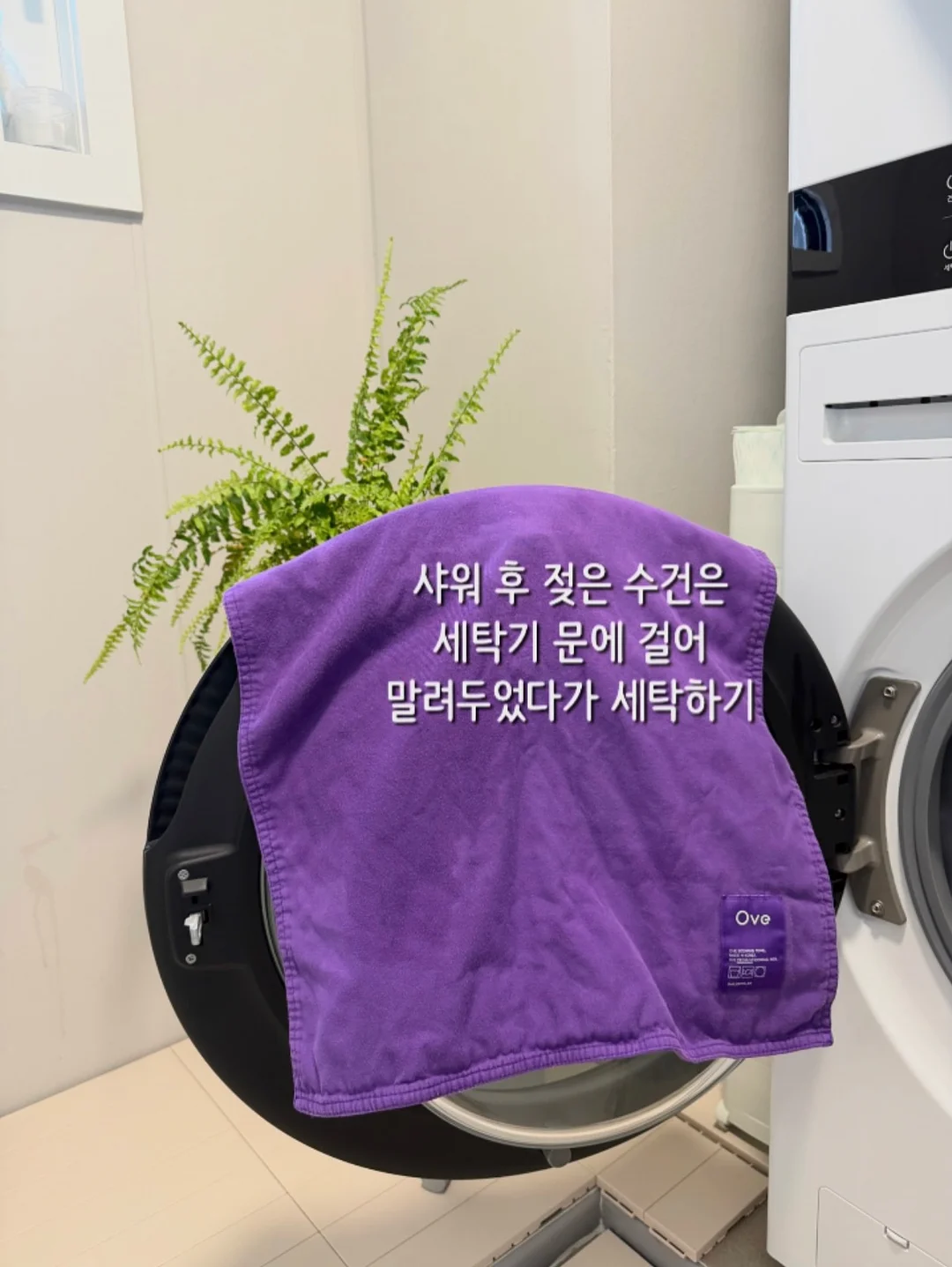 프랑지파니 & 가이악 캡슐세제 5