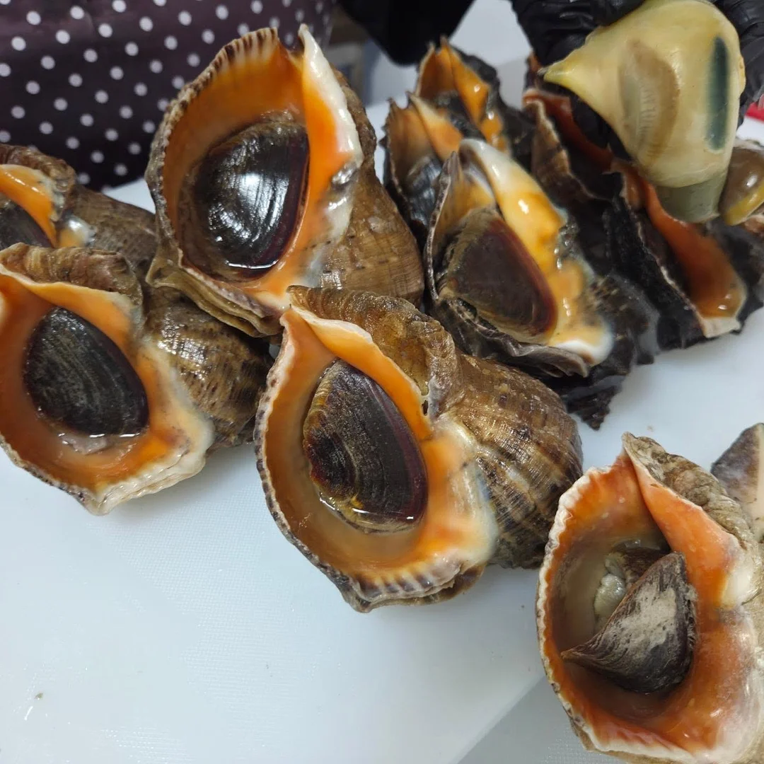 단짝친구 스티커 2종