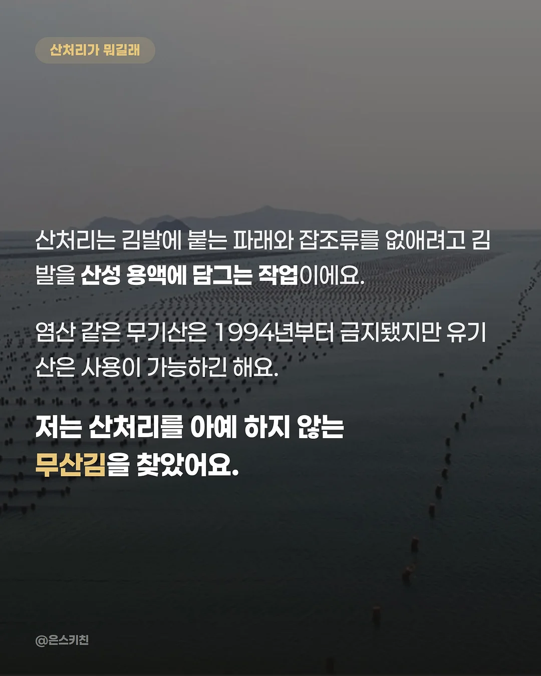 페이즐 패턴 보부상백 3