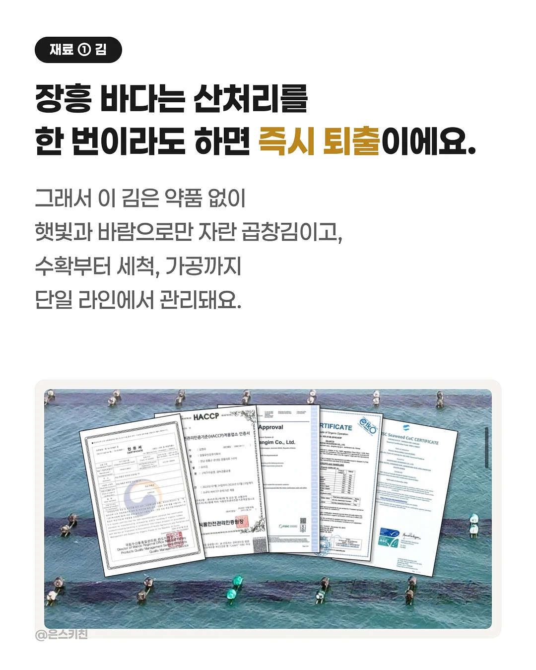 페이즐 패턴 보부상백 4