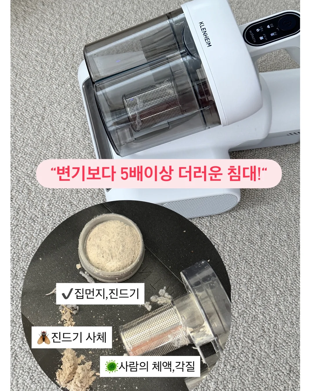 버뮤다 코튼팬츠 2