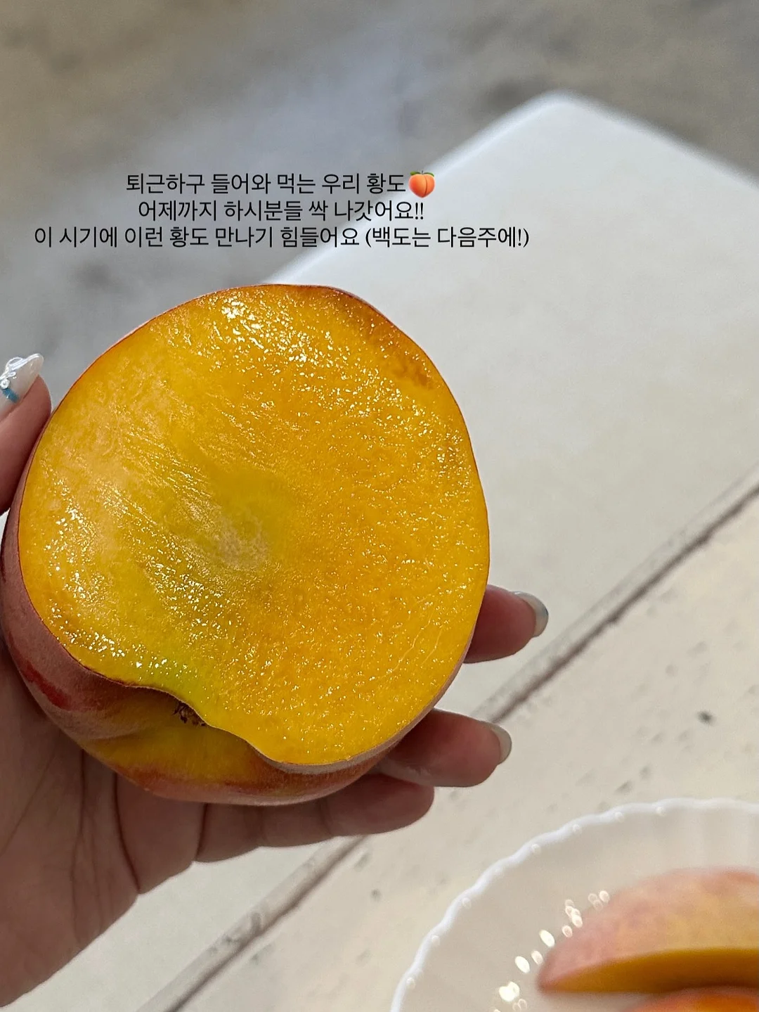 스위치온 단백질쉐이크 5