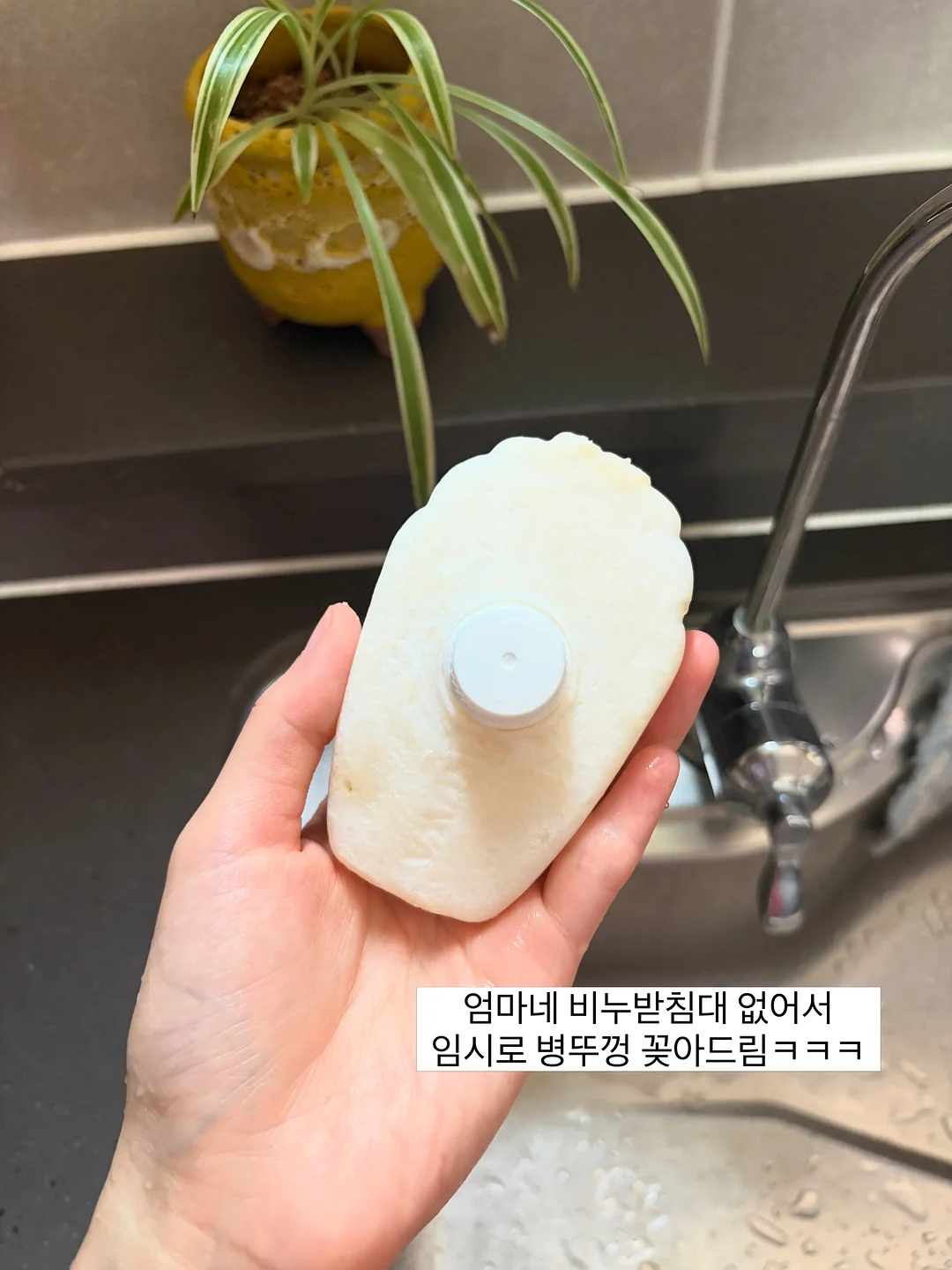 리유 회원분들 15