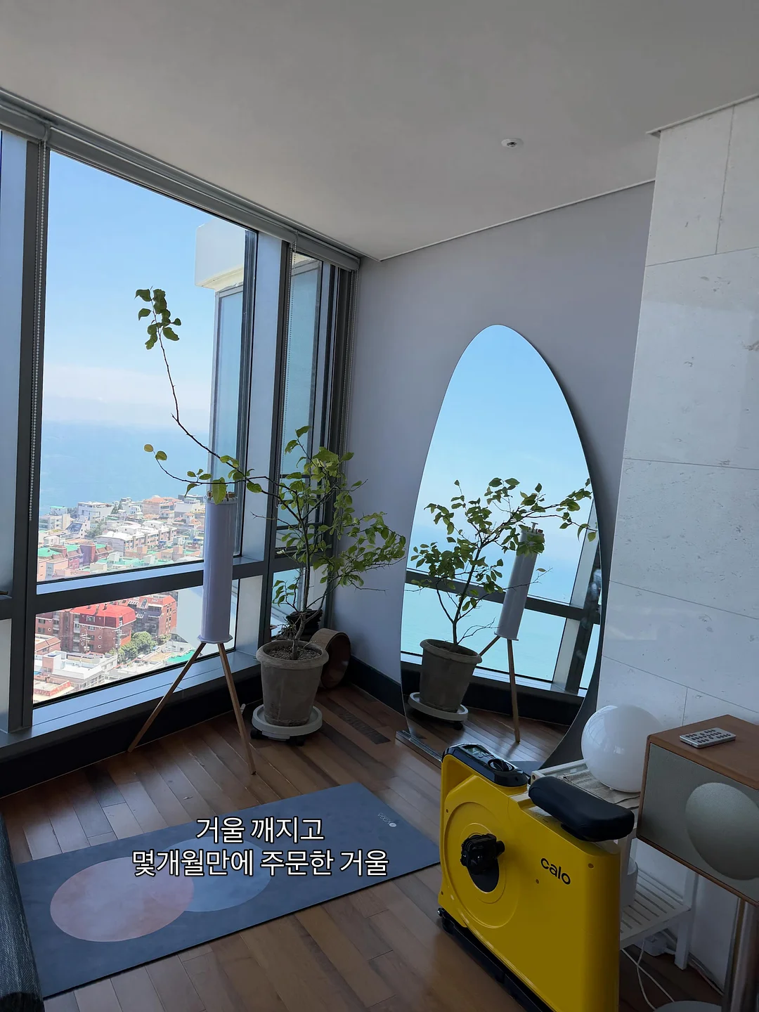 리퀴드 아이비 레몬라임향 6