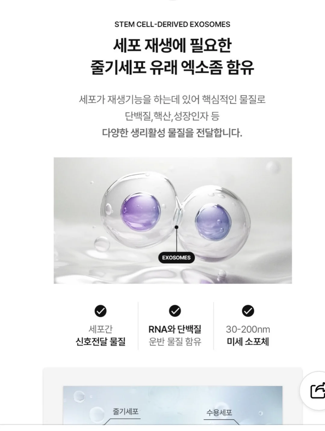 코닥 Easyshare V570 카메라 7