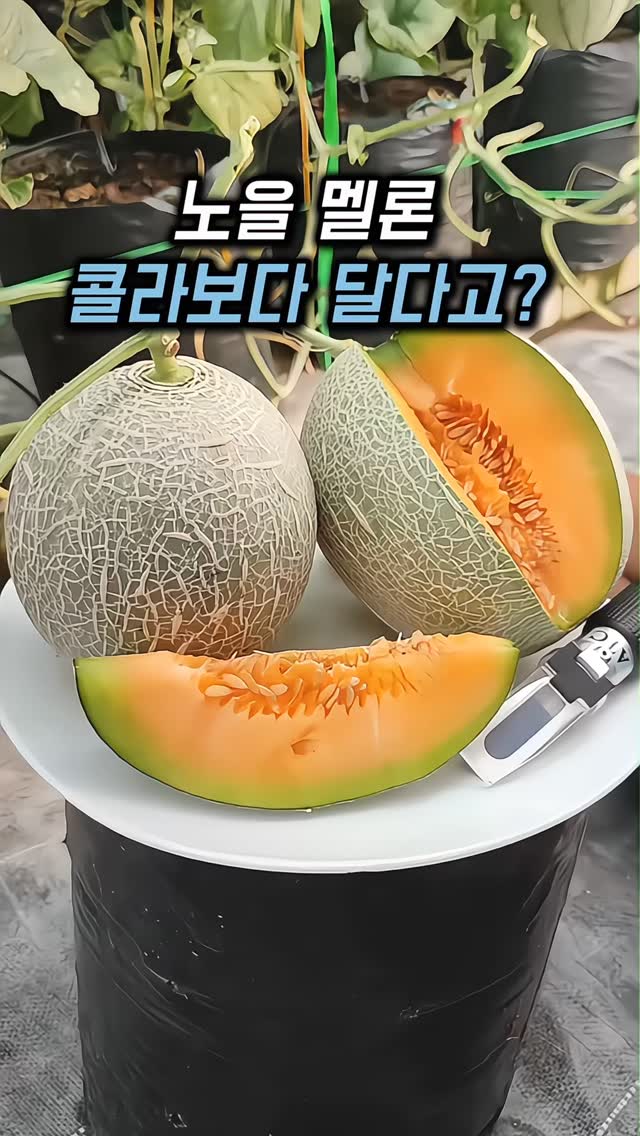 주얼리 원데이클래스