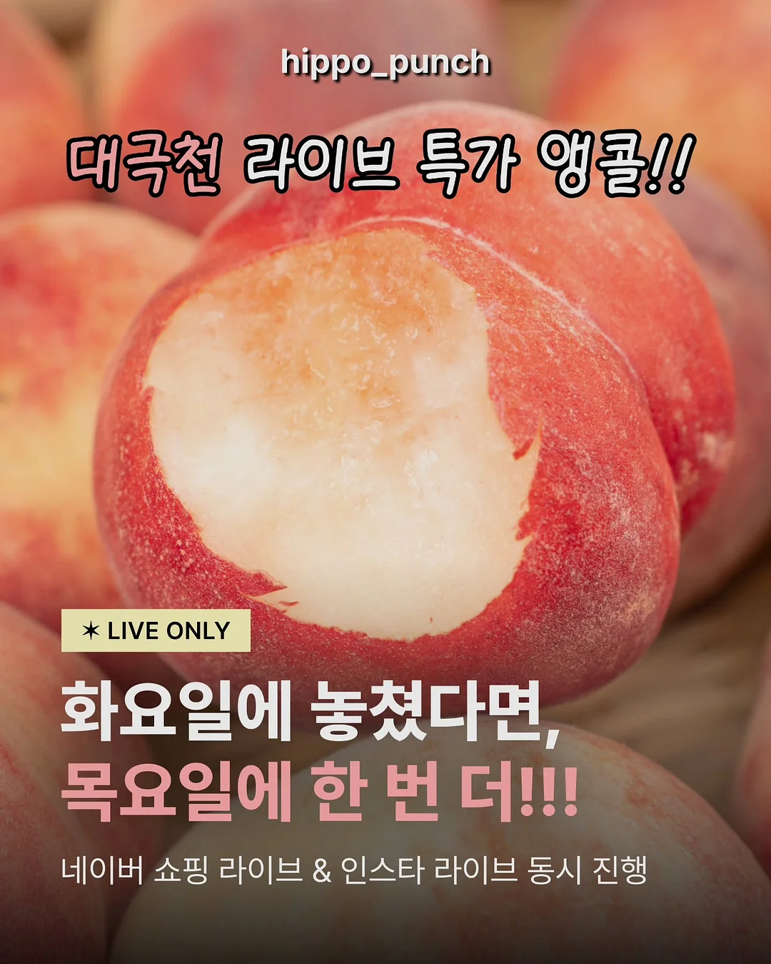 단백질 식품 1