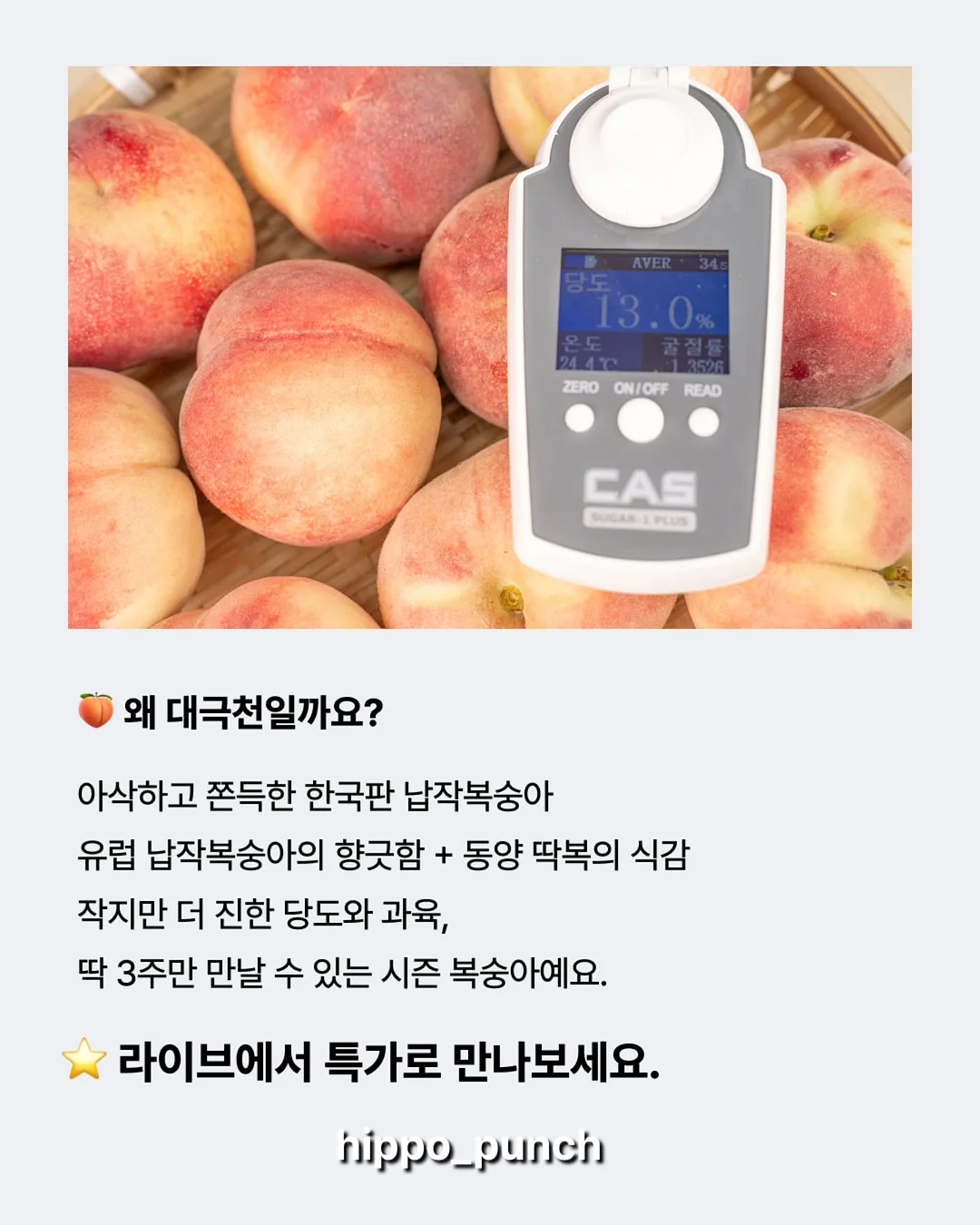 단백질 식품 2