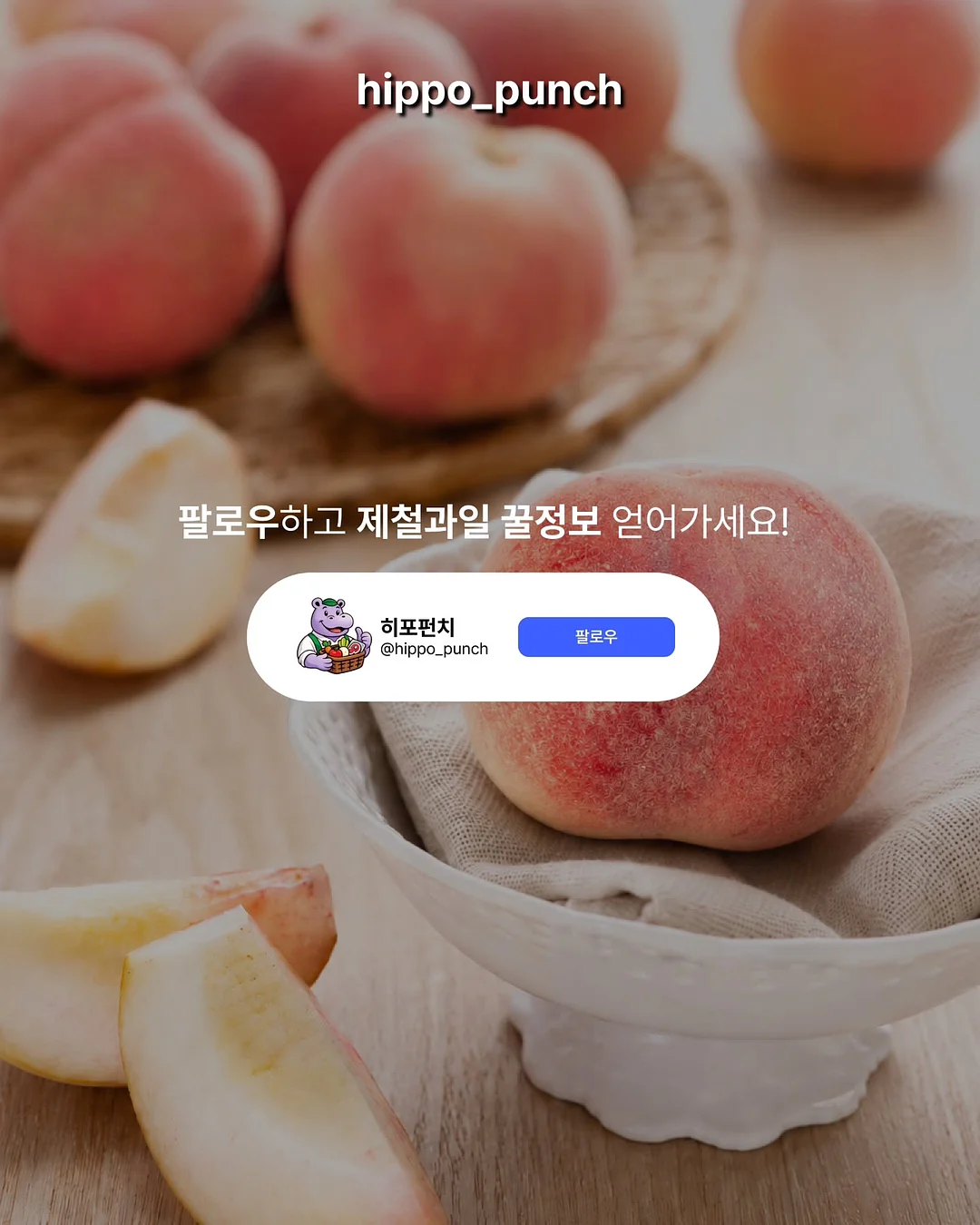 단백질 식품 3