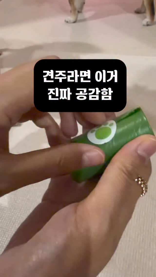 눈썹 스탬프