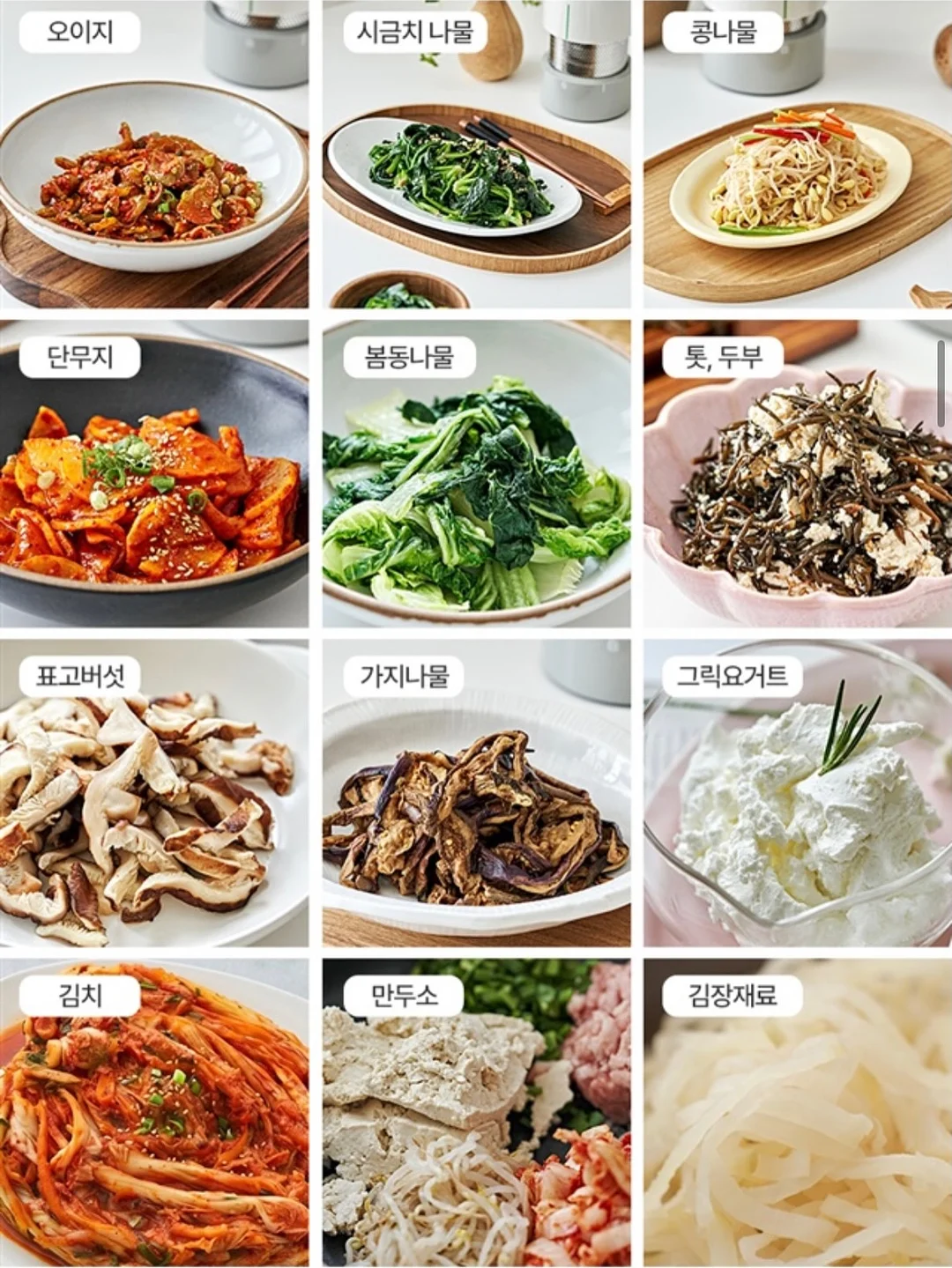 YDY 코랄 칼마디 K2 19