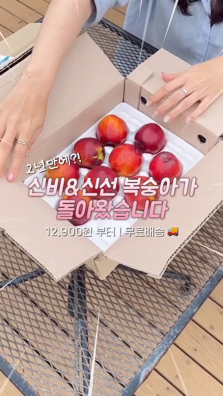 카네이션 포트 바스켓