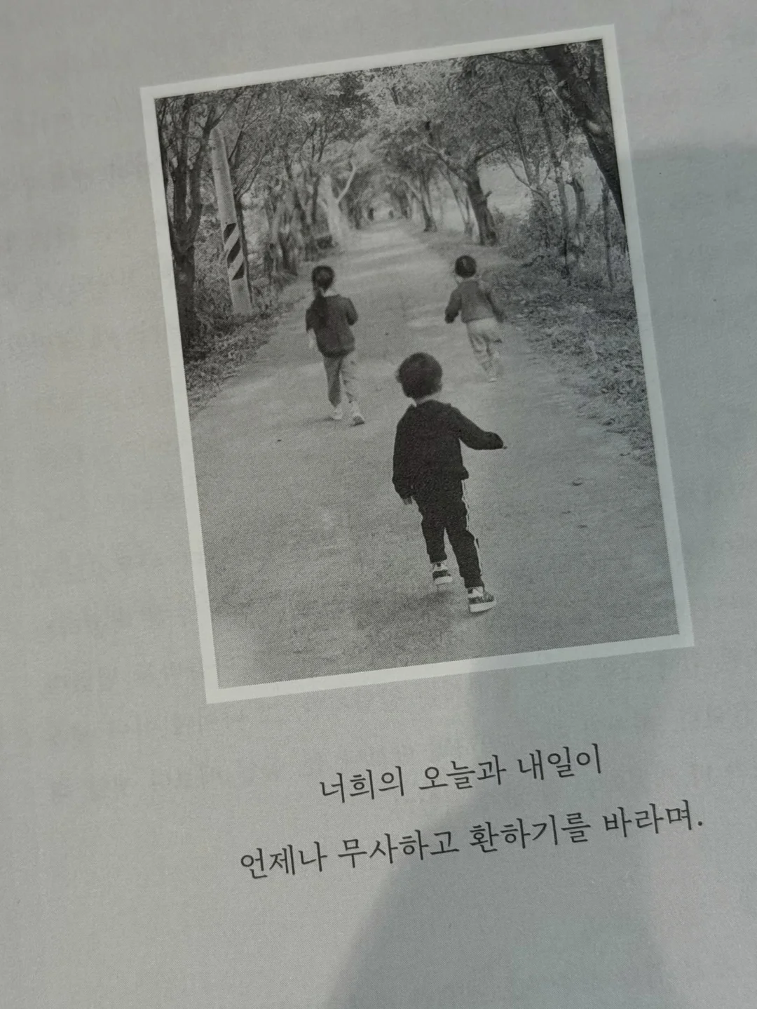 코시밀크 펫밀크 7