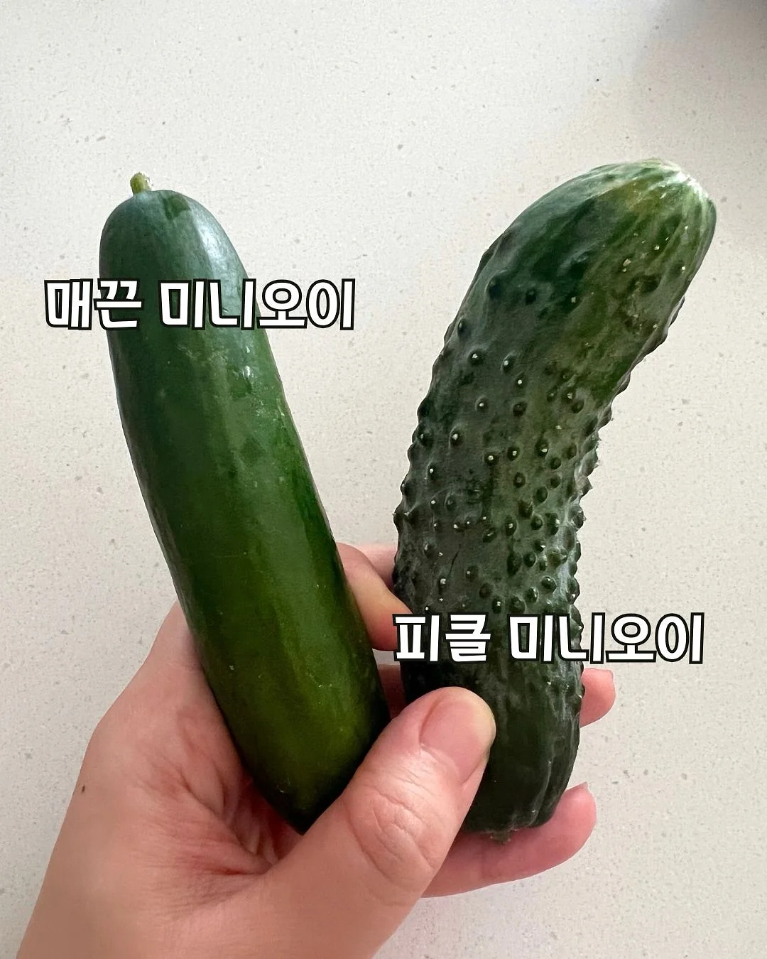 하겐다즈 x 콘래드 무화과 치즈 바닐라 케이크 3