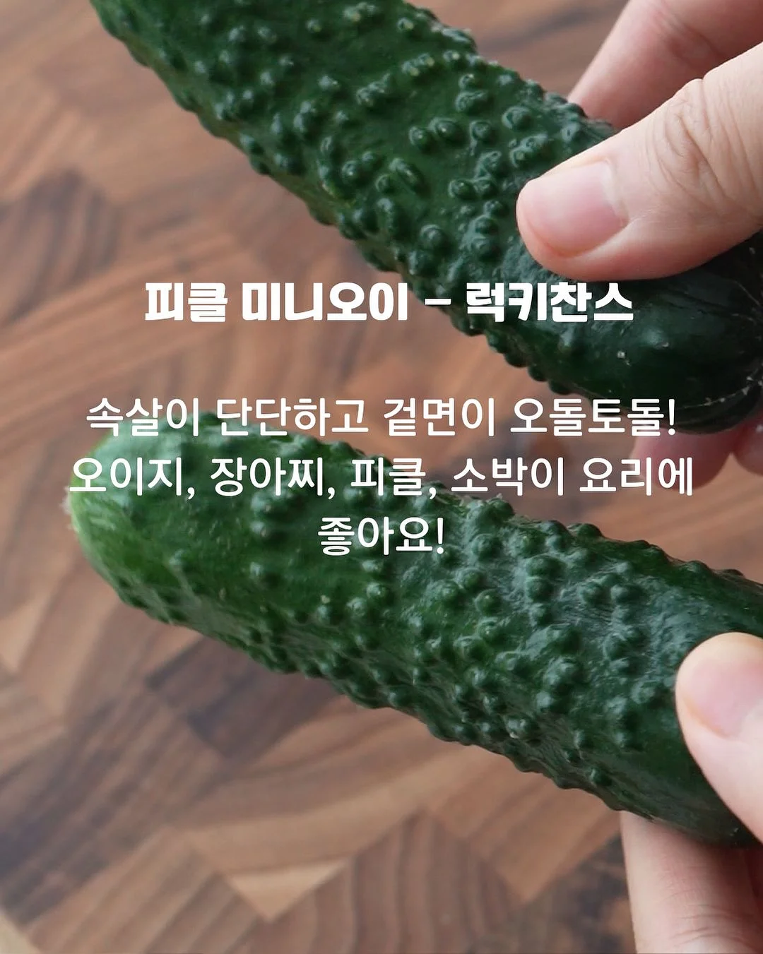 하겐다즈 x 콘래드 무화과 치즈 바닐라 케이크 6