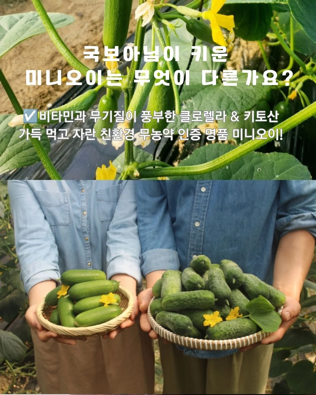 하겐다즈 x 콘래드 무화과 치즈 바닐라 케이크 7