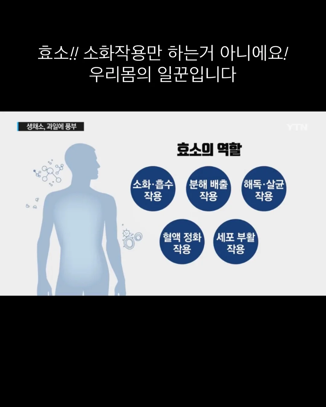 푸석한 머리결 개선 트리트먼트 5